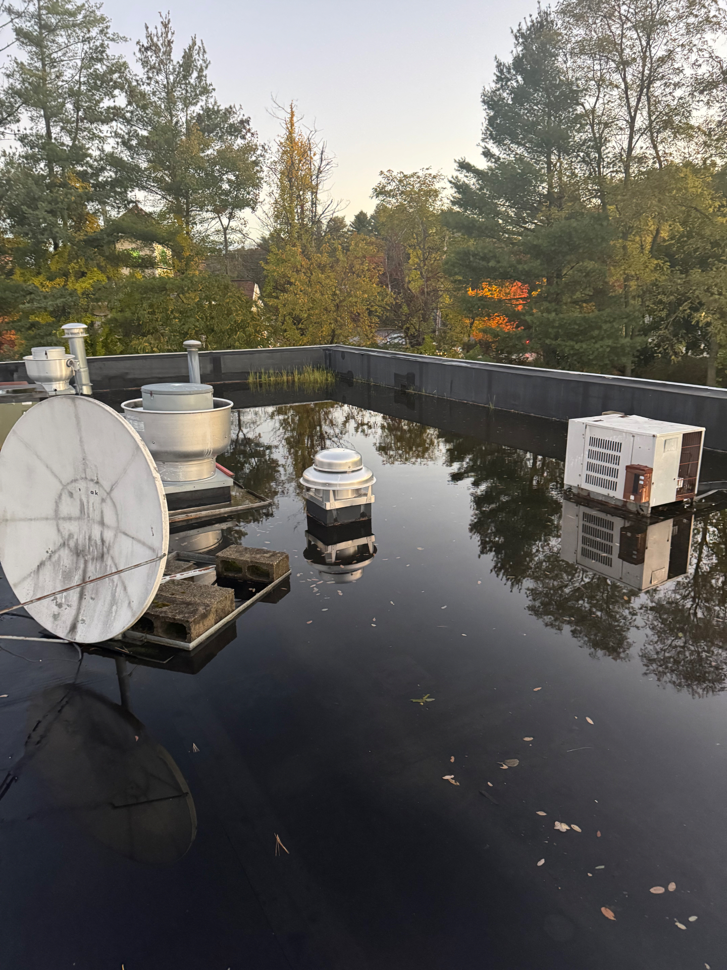 Flat commercial roof with ponding water before coating